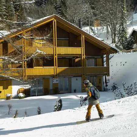 Modern - Ski-in, Ski-out - By *