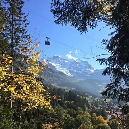 Modern - Ski-in, Ski-out - By 아파트