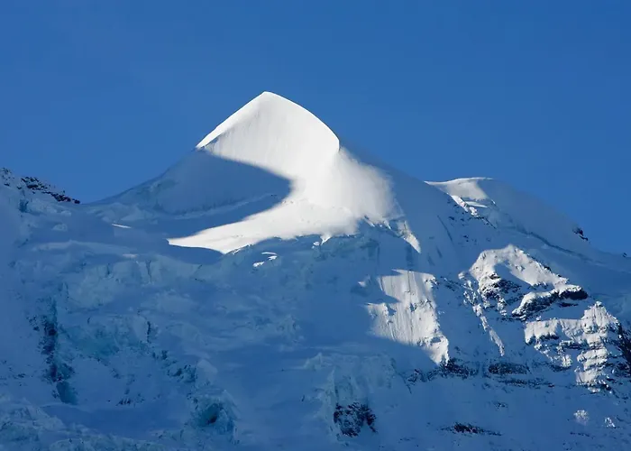 Modern - Ski-in, Ski-out - By Appartement Wengen