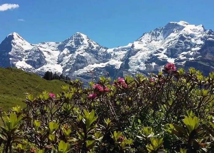 Modern - Ski-in, Ski-out - By Appartement