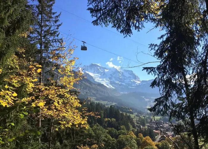 Modern - Ski-in, Ski-out - By Appartement